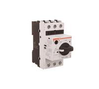 LOVATO SM1R0250 Interruptor motorizado