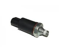 Interruptor de presión del aceite 11-09-903 ASHIKA para JEEP CHEROKEE
