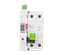 Interruptor De Seguridad Modular Con Reconectador Automático LED RCD Tipo A 6KA 16A/25A/63A 30mA/100mA/300mA 230V Reemplazo Del Disyuntor De Fuga(2 Pole 300mA,50A)