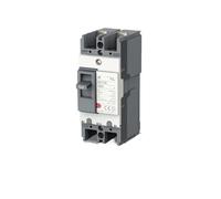 Interruptor de seguridad protector disyuntor caja plástico AC MCCB 63A 100A 125A 2P 3P(2P,50A)