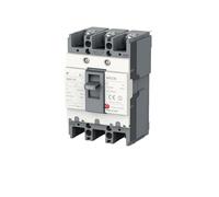 Interruptor de seguridad protector disyuntor caja plástico AC MCCB 63A 100A 125A 2P 3P(3P,60A)