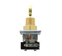 Interruptor de sensor de flujo de bomba de agua de paletas Interruptor de flujo de agua HFS-25 HFS-20 HFS-15 NPT 1" 1/2" 1/4" Interruptor controlador de nivel de líquido