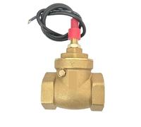 Interruptor de Sensor de Flujo Tipo Deflector Interruptor de Sensor de Interruptor de lengüeta 8-50L / min 250V DC 70W Interruptor Saier de 2 Cables