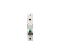 Interruptor de sobrecorriente 1P C 40A 6kA AC S301 S300 403438