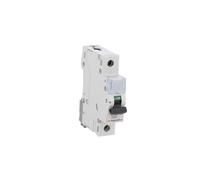 Interruptor de sobrecorriente 1P D 10A 6kA AC S301 S300 403719