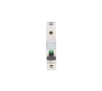 Interruptor de sobrecorriente 1P D 40A 6kA AC S301 S300 403725