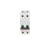 Interruptor de sobrecorriente 2P D 10A 6kA AC S302 S300 403736