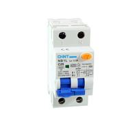 Chint - Interruptores magnetotérmicos Serie NB1L-40, NB1L1, NB1L-2, NB1-63, NL1-63, DZ47-60/eB (NB1L-2, Tipo A, 230 Vac-25 A-300 mA)