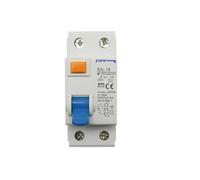 Interruptor diferencial de seguridad, 2P, 100/300 mA, tipo CA, electromagnético, corriente residual(100ma-63a)
