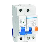 Interruptor diferencial electromagnético NB1L-40 de 300 mA, 10 A, 16 A, 20 A, 25 A, 40 A, 1 P+N, 2 P, 3 Pn.(1PN,10A)