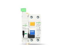 Interruptor Disyuntor Miniatura RCCB RCD 6KA AC 2P 230V Tipo Dispositivo Automático Cierre Disyuntor Diferencial 63A 30mA 100mA 300mA Interruptor Inteligente(2Pole 300mA,10A)