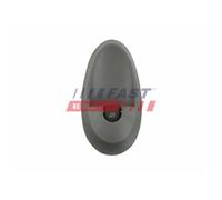 Interruptor Elevalunas Fast FT91999 para Iveco