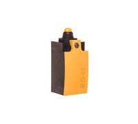 Interruptor final 2Z cambio lento plástico LS 266120