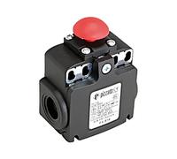 Interruptor final FX 514 botón de hongo NO + NC 10A max.500VAC max.250VDC IP6...