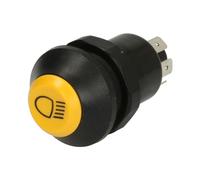 Interruptor, luz principal PNEUTRON 11120040XX