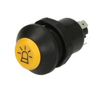 Interruptor, luz principal PNEUTRON 11130320XX