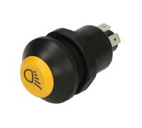 Interruptor, luz principal PNEUTRON 11130790XX