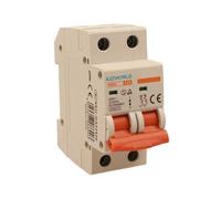 Interruptor magnetotérmico 20 A C20, bipolar 2P, curva C 6 kA, 2 módulos DIN 220 V AC, certificado IEC60898-1, serie SB6L
