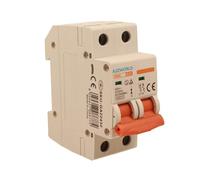 Interruptor magnetotérmico 32A B32, bipolar 2P, curva B 6kA, 2 módulos DIN 220 V AC, certificado IEC60898-1, serie SB6L