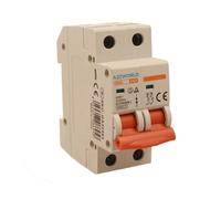 Interruptor magnetotérmico 63 A C63, bipolar 2P, curva C 6 kA, 2 módulos DIN 220 V AC, certificado IEC60898-1, serie SB6L