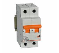 Interruptor magnetotermico para vivienda Legrand 419936RX3 2 polos 6KA20A