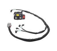 Interruptor Motocicleta Para Fourtrax Para Rancher Para ES Para TRX420FE 2009-2013 Interruptor De Arranque Kill Manillar Izquierdo Cambio Eléctrico
