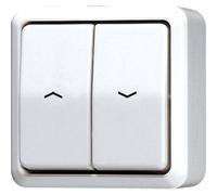 Interruptor para persianas venecianas AP600 de Jung - 609VAWW