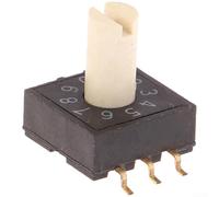 Interruptor rotatorio RM3HAF-10 de la codificación de 10 posiciones con la construcción plástica y los elementos de contacto del metal para la integración del PWB