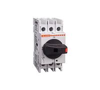 Interruptor seccionador de tres polos, con sección y versión puerta, 16A, mando directo, 4 x 8 x 8 centímetros, color gris claro (Referencia: GA016A)
