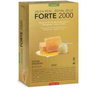 Intersa Jalea Real Forte 2000 20 Viales Bebibles
