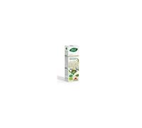 Intersa Phyto Bipôle Ancião Bio 50ml