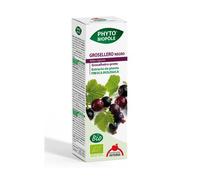 Intersa Phyto Bipôle Groselha Negra Bio 50 ml