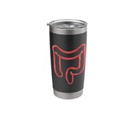 Intestino Gastroenterólogo Colonoscopia Gastroenterología Vaso térmico de acero inoxidable de doble pared