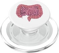Intestinos Intestino Sistema Digestivo Humano PopSockets PopGrip para MagSafe