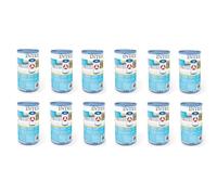 Intex 29000 - Filter Cartridge Type A 12 Stuks voor Zwembad 244/305/366 cm