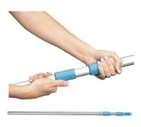 Intex Mango Telescópico Aluminio 239 cm Aluminum