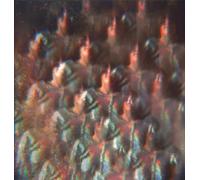 INTO THE DIAMOND SUN [Vinilo]