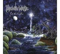 Into The Everflow (Clear Vinyl) [Vinilo]