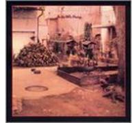 Into the Fray by Country Joe Mcdonald