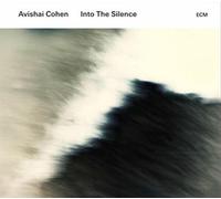 Into the Silence by Avishai Cohen