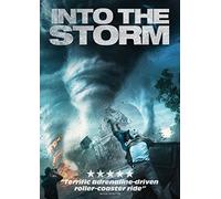 Into The Storm [DVD]
