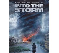 Into the Storm [Italia] [DVD]