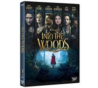 Into The Woods [DVD]