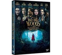 Into the Woods : Promenons-nous dans les bois [DVD]
