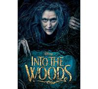 Into the Woods [USA] [DVD]