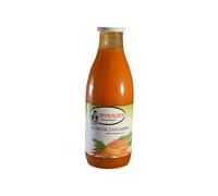 Intracma Zumo Zanahoria 1L