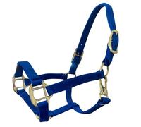 Intrepid International Cabestro de caballo en miniatura de nailon duradero con broche ajustable para barbilla y garganta, azul, mini