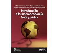Introducción a la macroeconomía: Teoría y práctica (Libros profesionales)