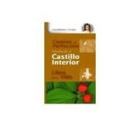 Introduccion Al Castillo Interior