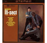 Introducing The In-Sect Direct from England